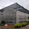 High Quality Multi-span Film Plastic Greenhouse for Agriculture 