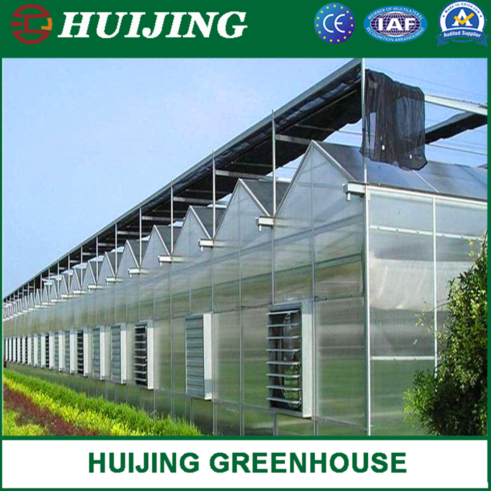 PC Sheet Agriculture Plastic Film Glass Sheet Multi-Span Polycarbonate Greenhouse