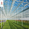 Galvanized Steel Greenhouse Structure for Vegetables