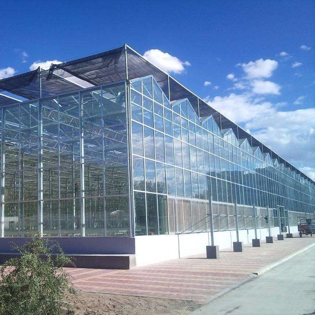 Galvanized Good Price Glass Greenhouse for Agriculture