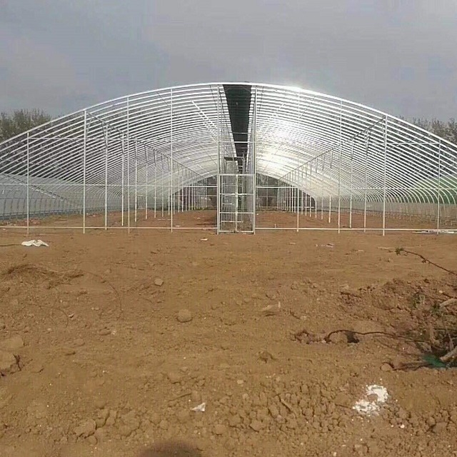 Single-Span Garden Greenhouse for Agriculture