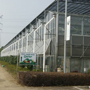 Polytunnel Greenhouse Outside Shading System for Flower