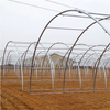 Single Span Commercial Agriculture Greenhouse China Manufacturer for Tomato/Cucumber/Pepper/Strawberry Hydroponics 
