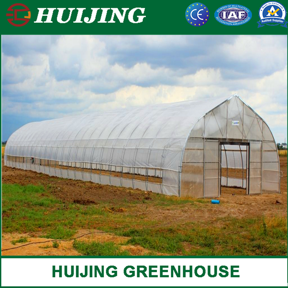 Vegetables Single Span/PE Film/Tunnel Greenhouse for Farm/Tomato/Flower/Lettuce Planting for Sale