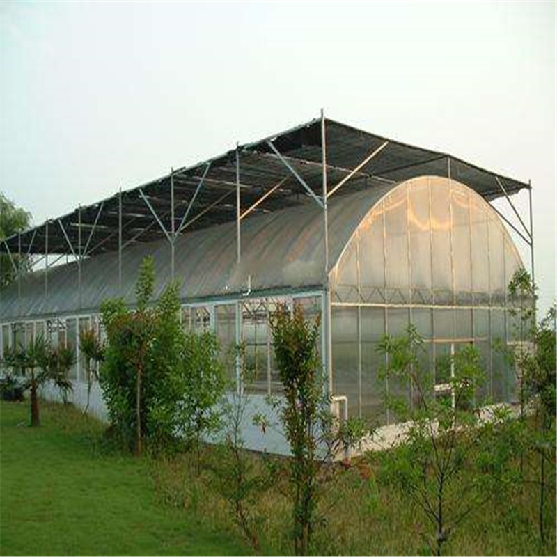 Multi-span Polytunnel Hydroponic Venlo Agricultural Polycarbonate Film Greenhouse for Vegetables/flowers/fruits/garden/tomato/crop/corn