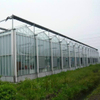 Hot Sale (polycarbonate) PC Greenhouse for Tomatoes