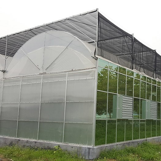 Single-Span Garden Greenhouse for Agriculture