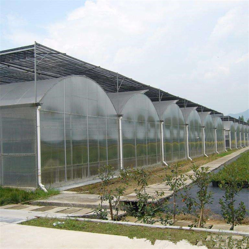 Polycarbonate High quality cheap price Hydroponic Agricultural PC Greenhouse for Vegetables/flowers/fruits/garden/tomato/crop/corn