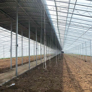 Large High Tunnel Winter Greenhouse for Agriculture