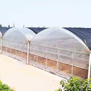Gothic/Arch Type Multi-span Poly Greenhouse with Gutter Connected