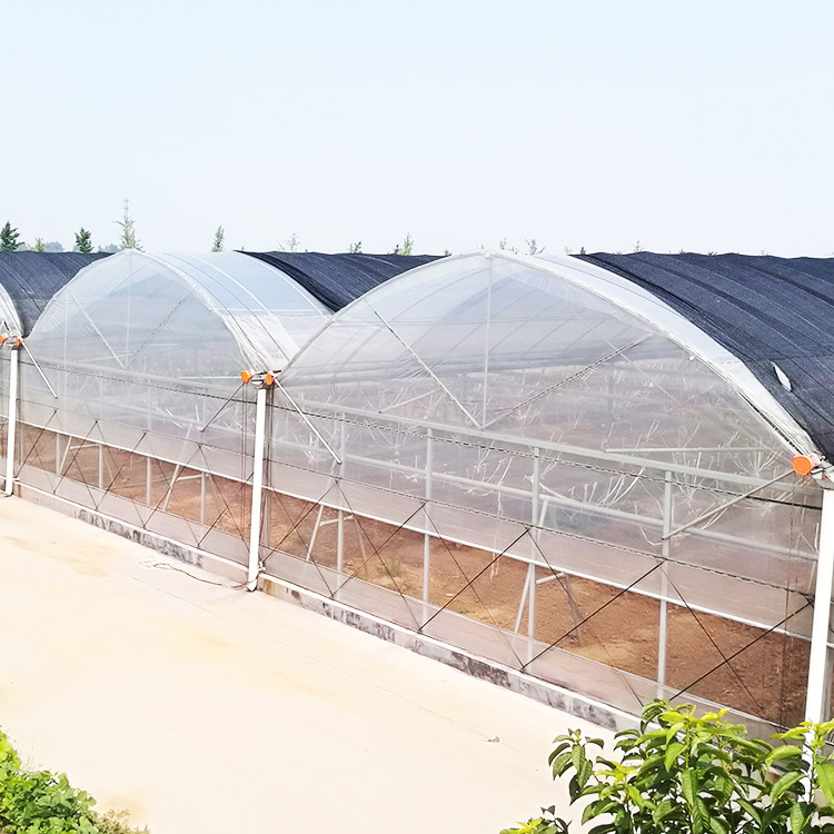 Gothic/Arch Type Multi-span Poly Greenhouse with Gutter Connected