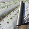 Biodegradable Plastic Mulch Black Mulching Film Agricultural Plastic Mulch Film