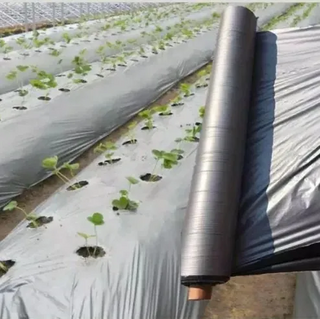 200 micron agricultural Black polyethylene Plastic Mulch Film, ldpe with uv ground cover width holes