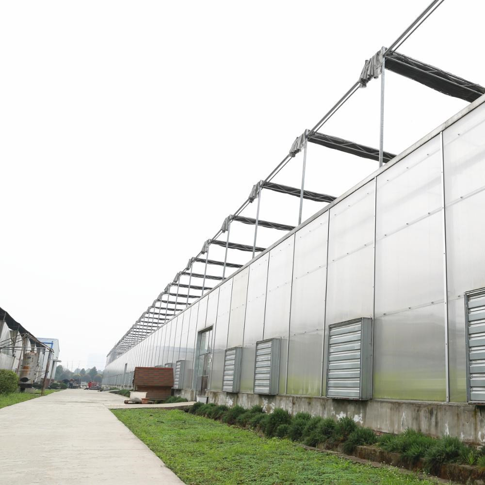 AiXiang-hydroponic-farming-PC-sheet-greenhouse-with
