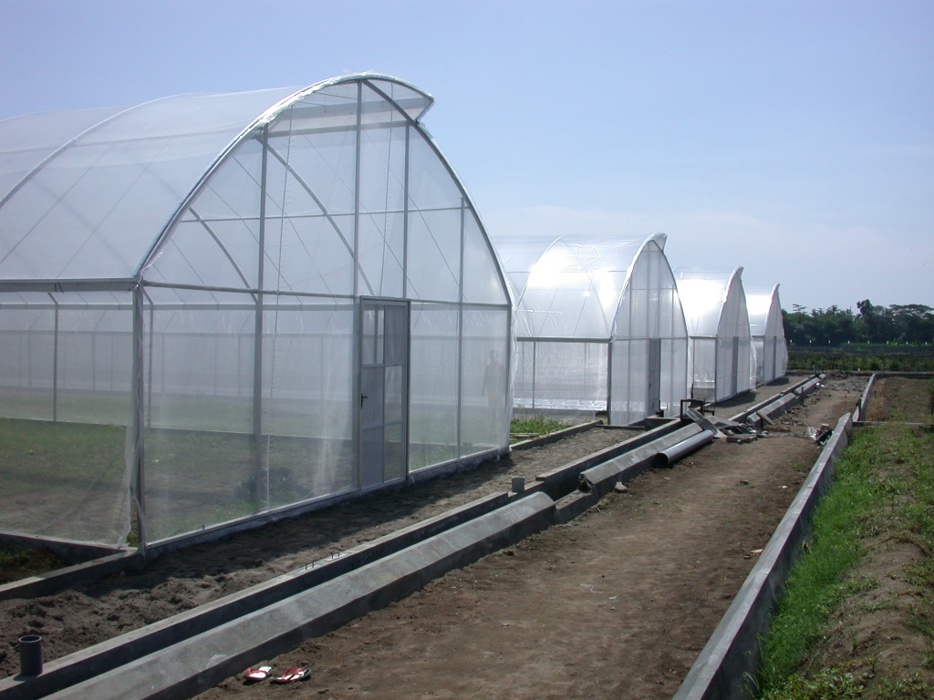 Greenhouse Pipa Besi
