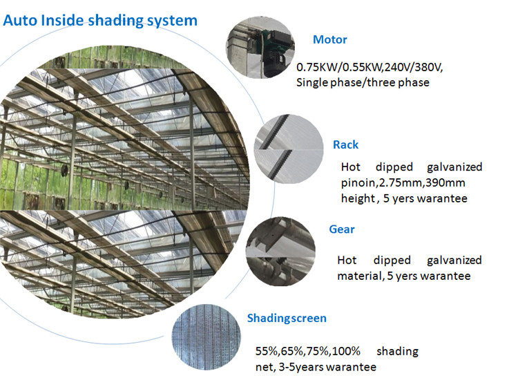 HTB1LBuydGagSKJjy0Faq6z0dpXa5