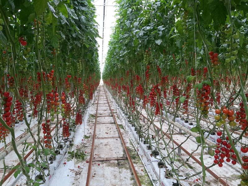 微信图片_20200102114817