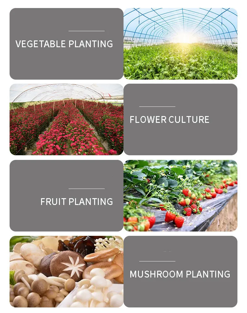 微信图片_202407041340542