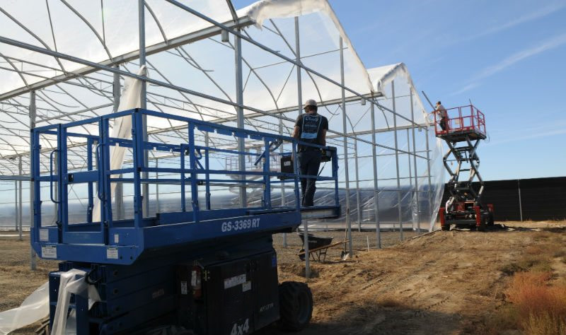 greenhouse-construction