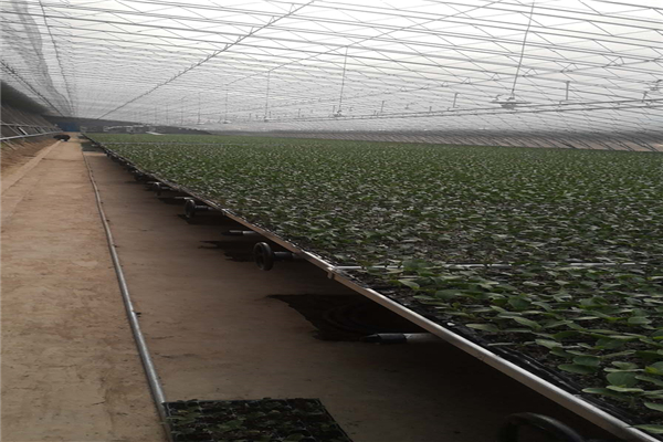 4bcf66b11544c5a2cd4af1bf84f66d9