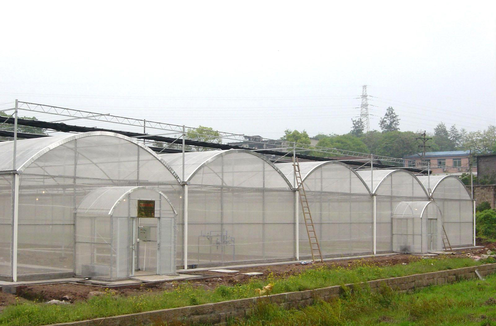 100-multi-span-greenhouse