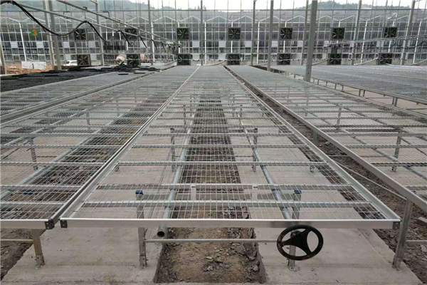 d34f0737973f7d3d100857d53e202a0