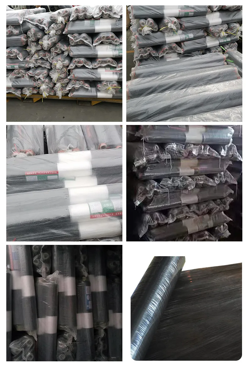 微信图片_202407041340543