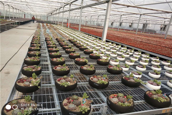 a85799bd20068d2a5333dd06ae25a93