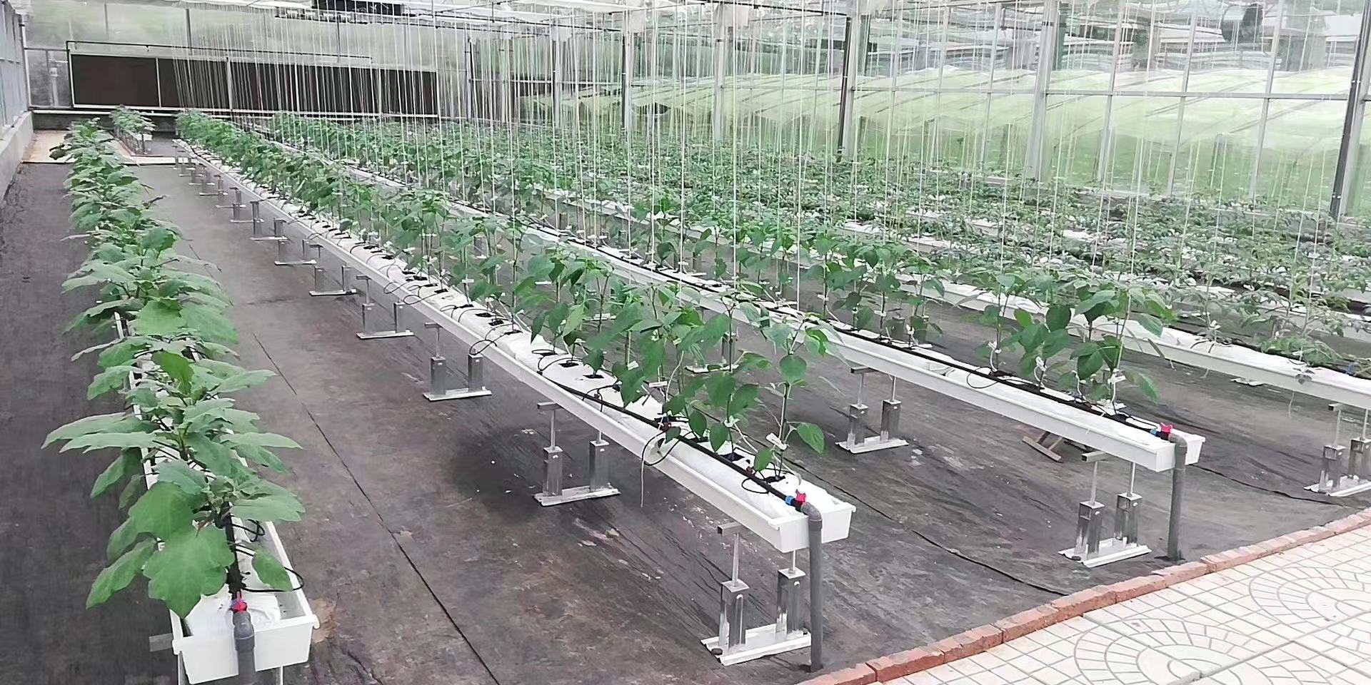 3c24b415875ff05445ef18a0af8dd27