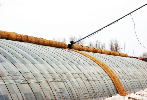 6a00e0099229e8883301b8d181950b970c