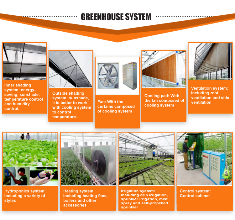 Agriculture-Multi-Span-PC-Sheet-Green-House-Grow-Tent-Greenhouse-for-Sale