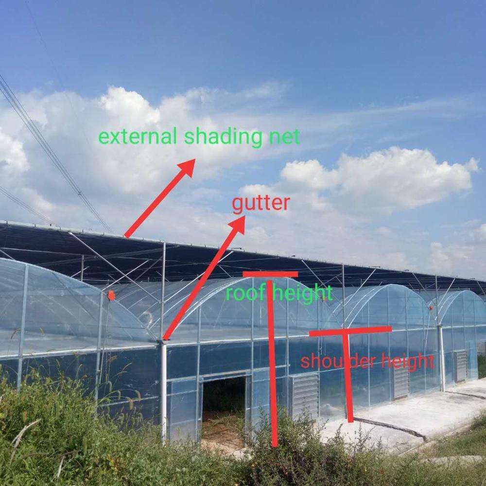 Large-Size-Multi-span-Galvanized-Anti-UV