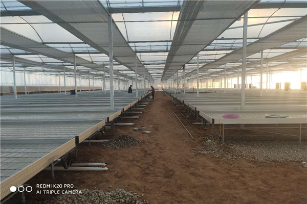 7d4b740b5b4cb7406145e41e20b0be5