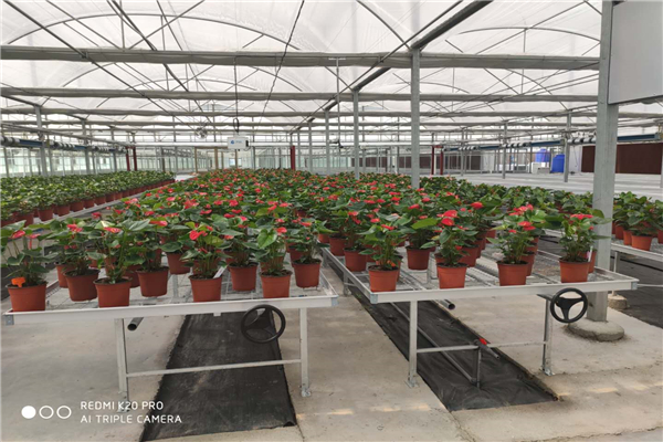 0587124c616c571f8e9dbd4badc5af3